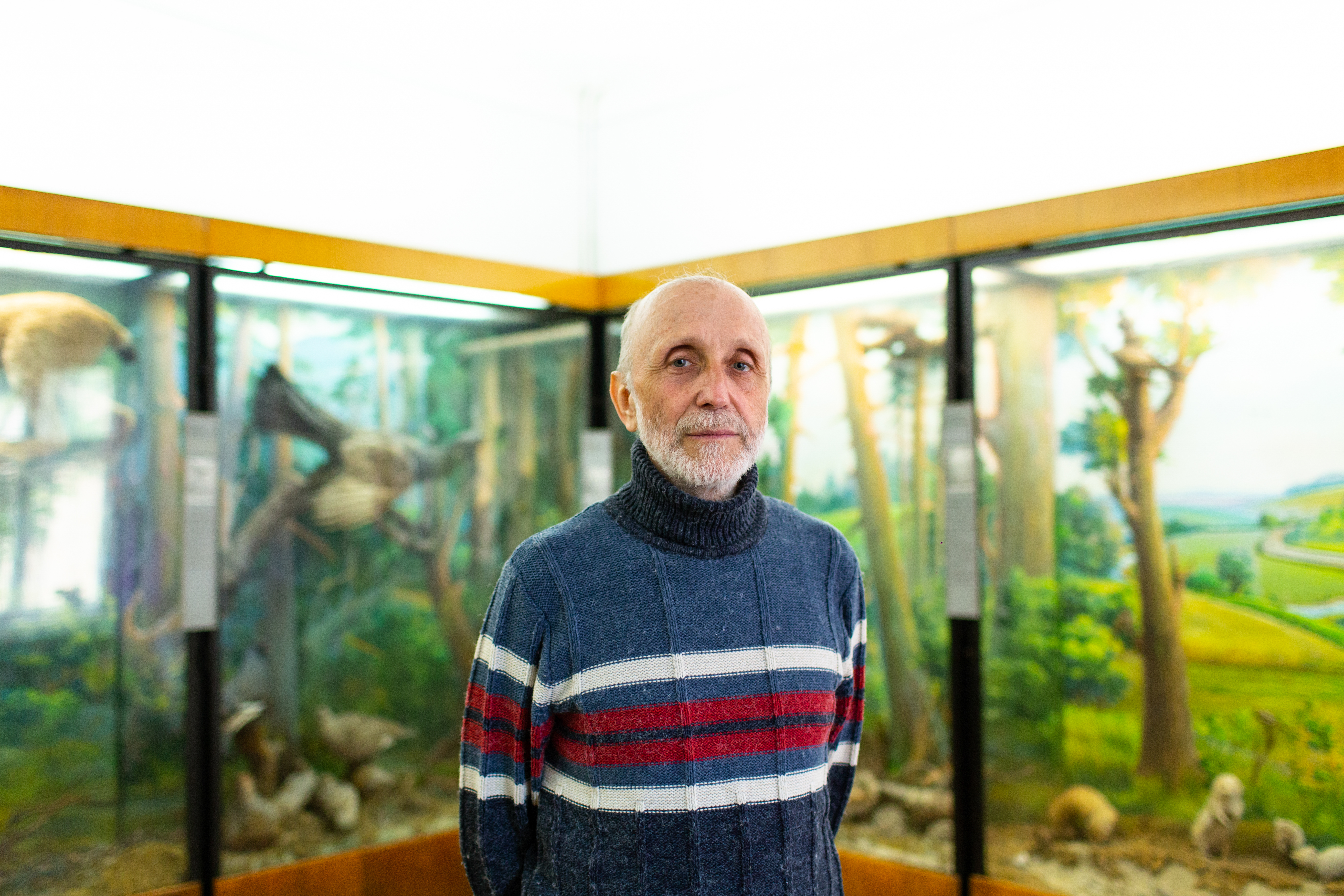 Володимир Пограничний